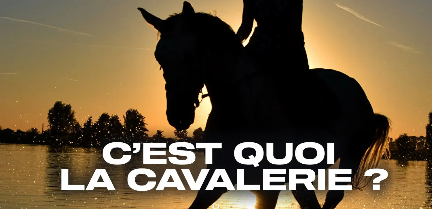 c-est-quoi-la-cavalerie