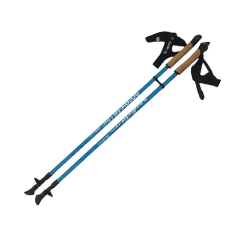 Baton de marche nordique carbone