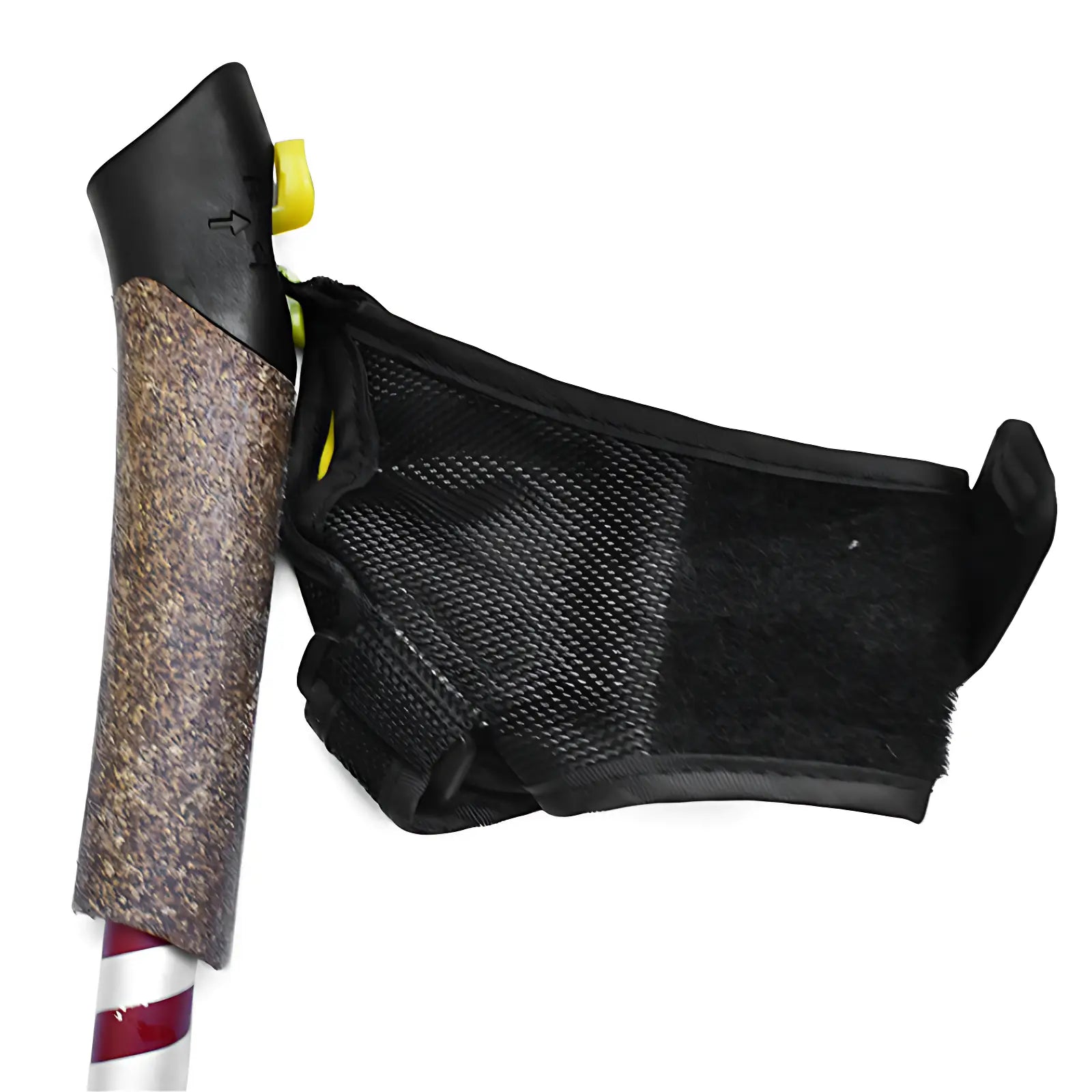 Bâton de marche nordique montagne