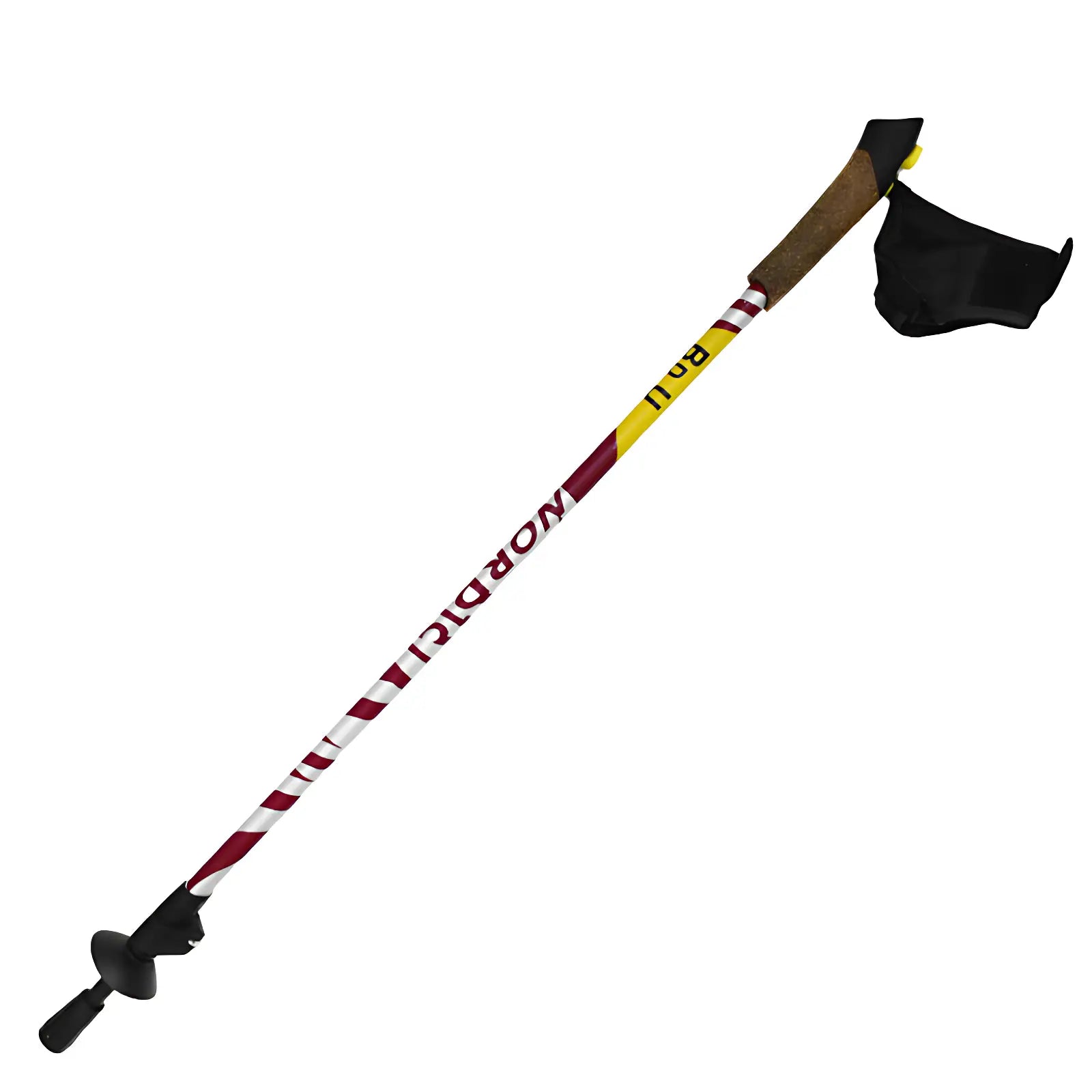 Bâton de marche nordique montagne