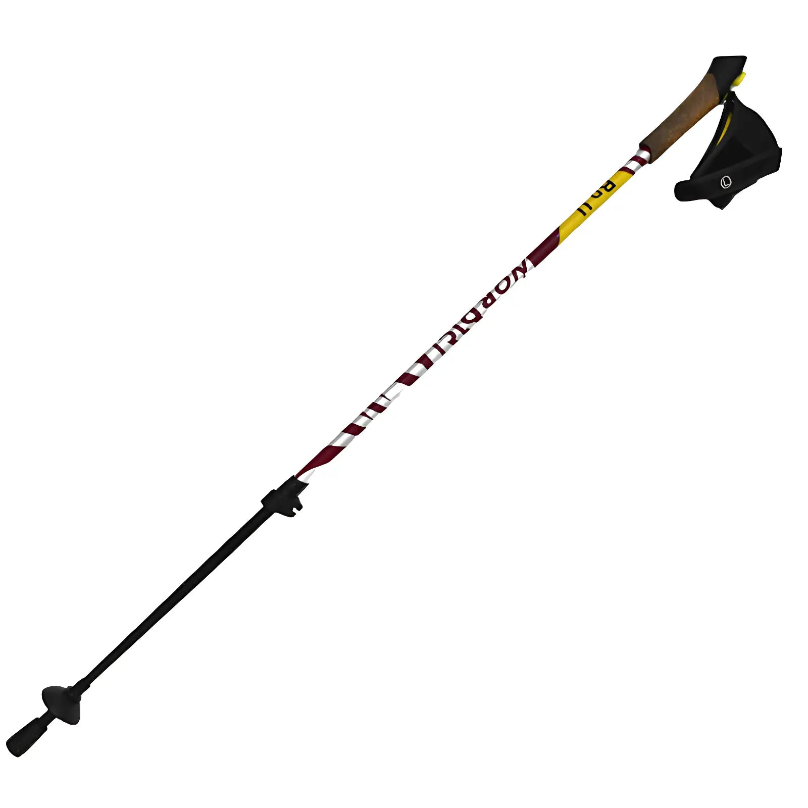 Bâton de marche nordique montagne