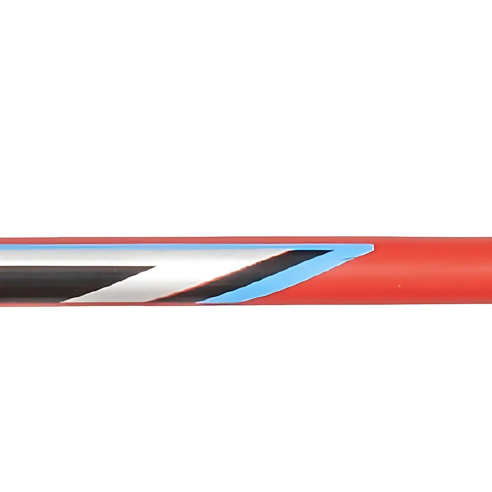 Bâton de marche nordique ski