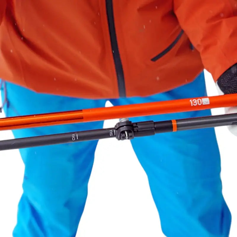 Bâton de marche nordique ski