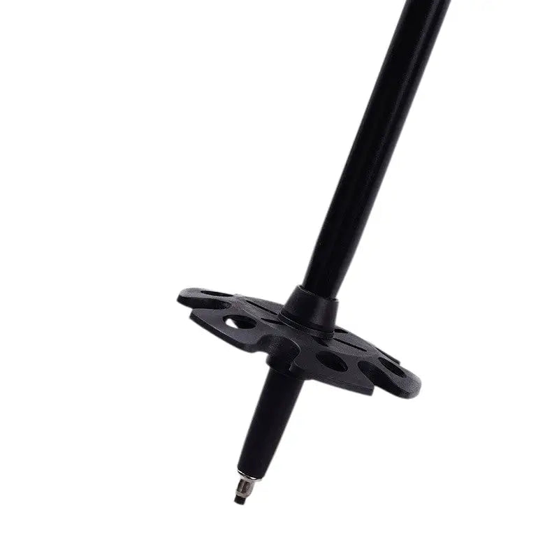 Baton de marche nordique sport