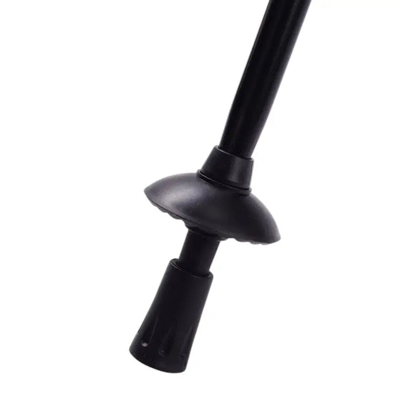 Baton de marche nordique sport