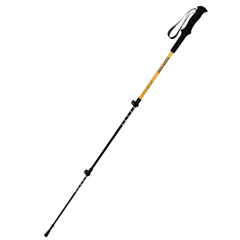 Bâton de randonnée montagne