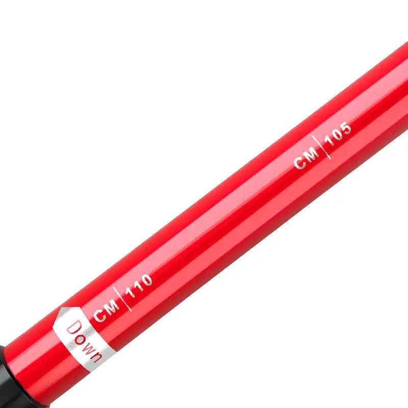 Baton de trail mixte