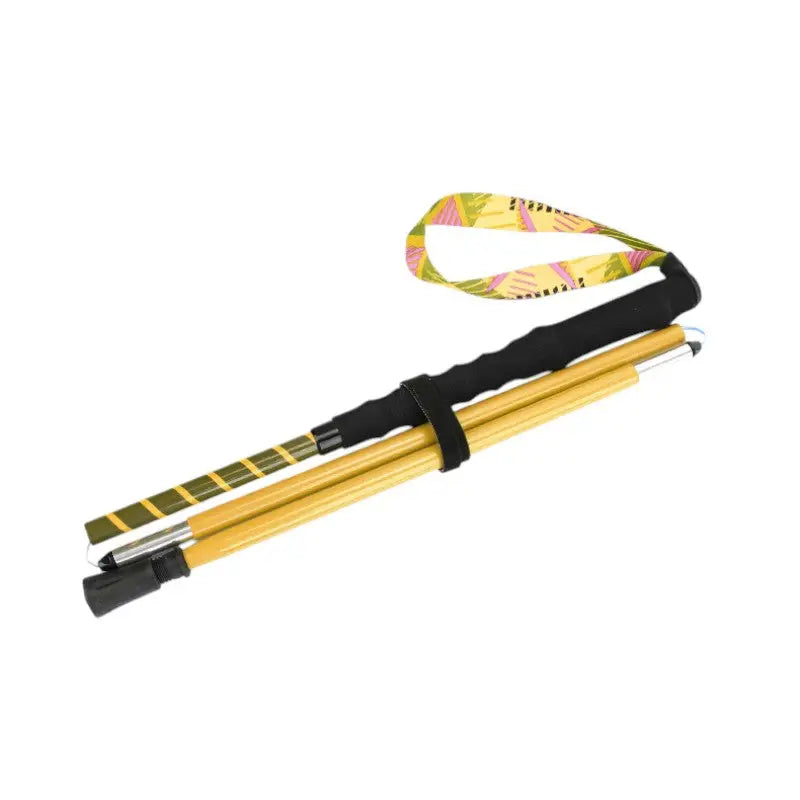 Baton de trail toutes saisons