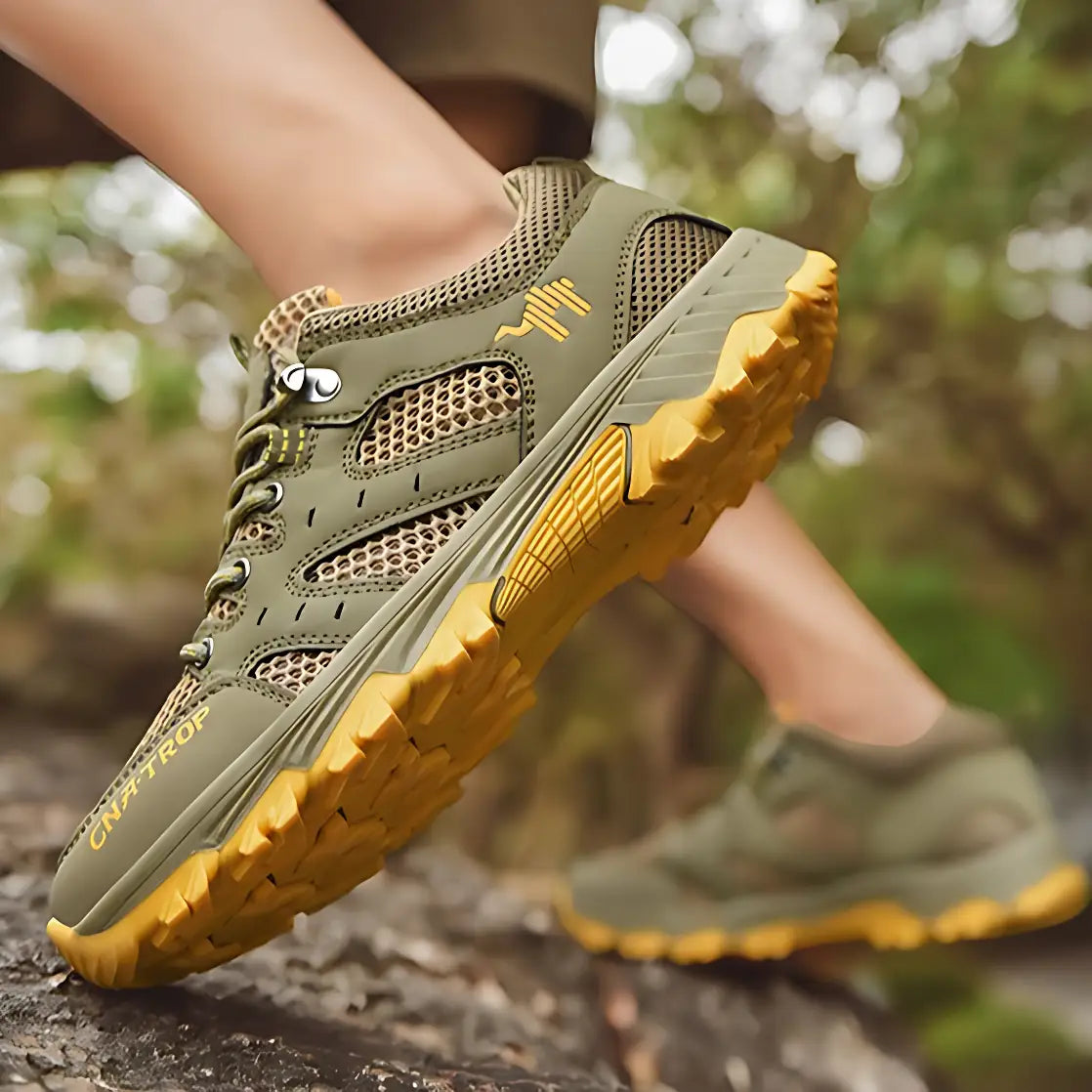 Chaussures de marche randonnée