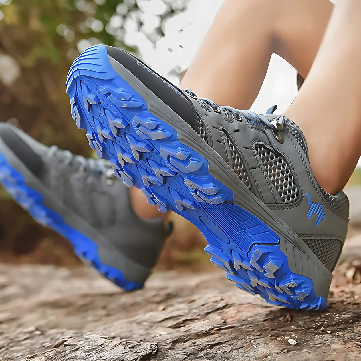 Chaussures de marche randonnée