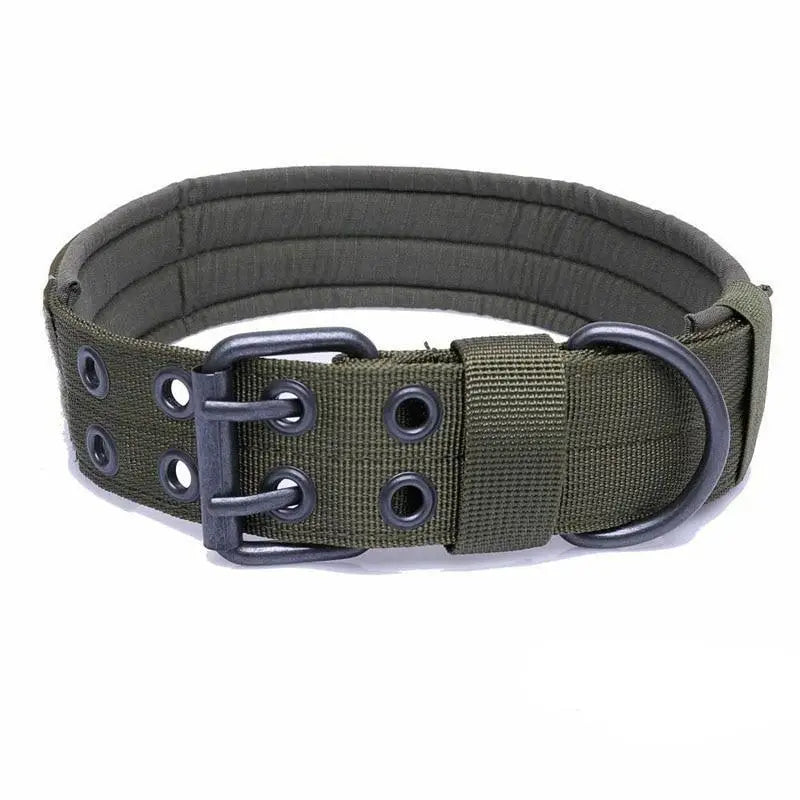Collier chien militaire