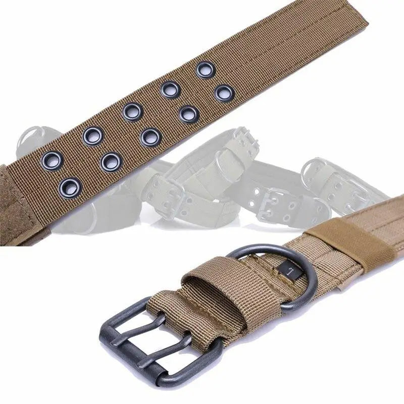 Collier chien militaire