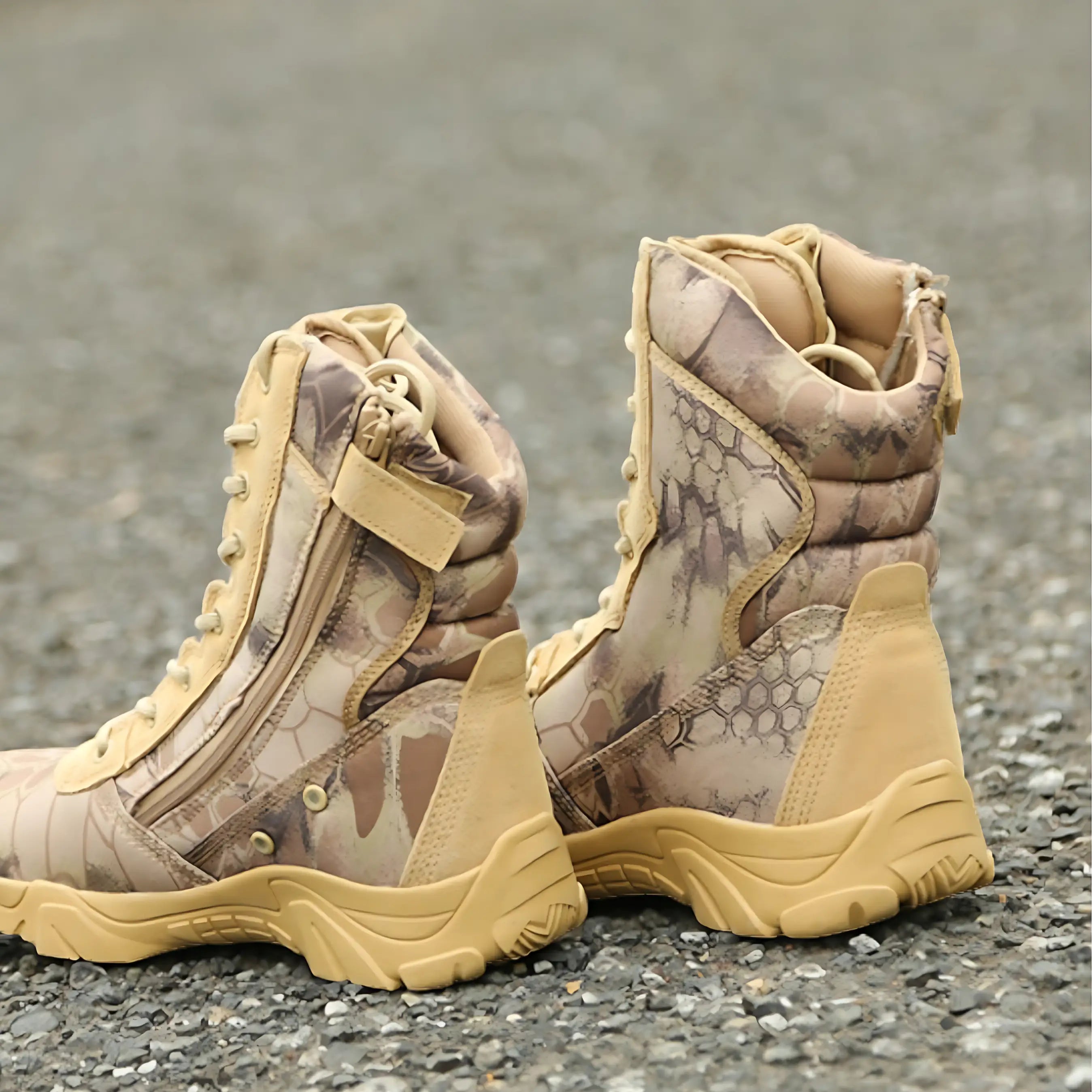 Combat Desert chaussures