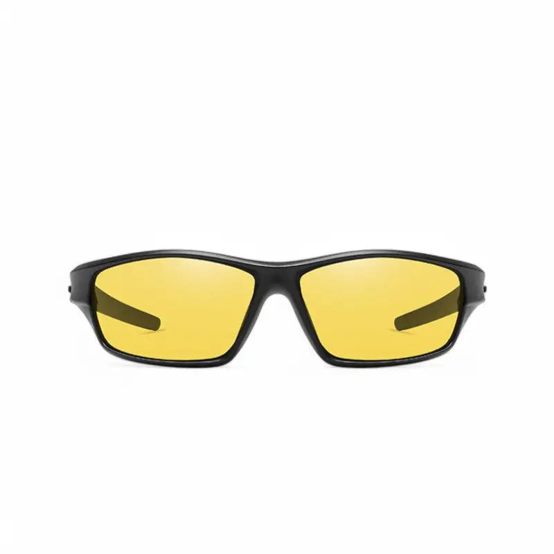 Lunettes à verres polarisants