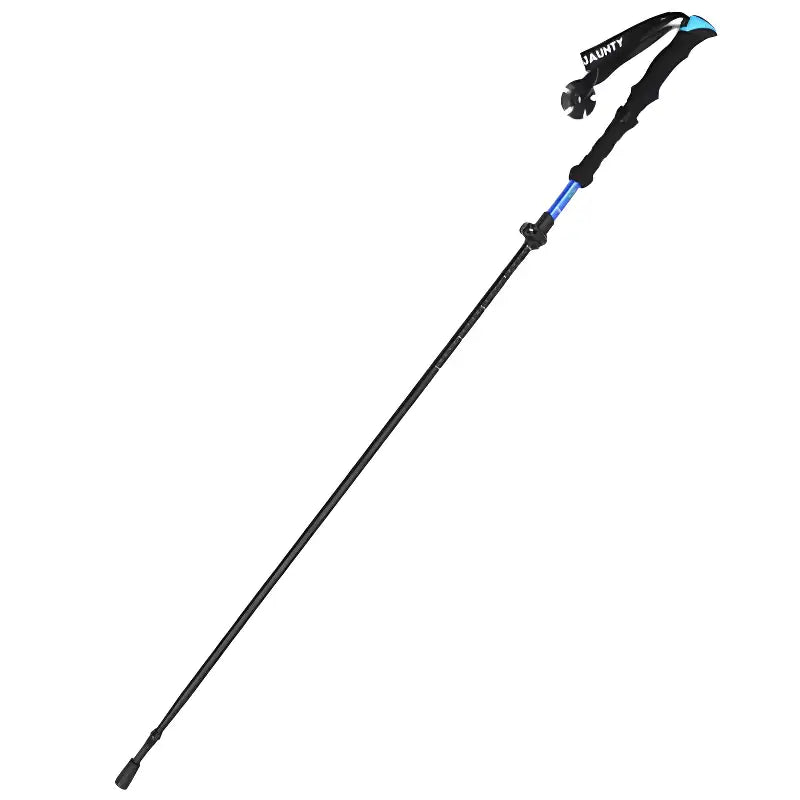 Meilleur baton de trail