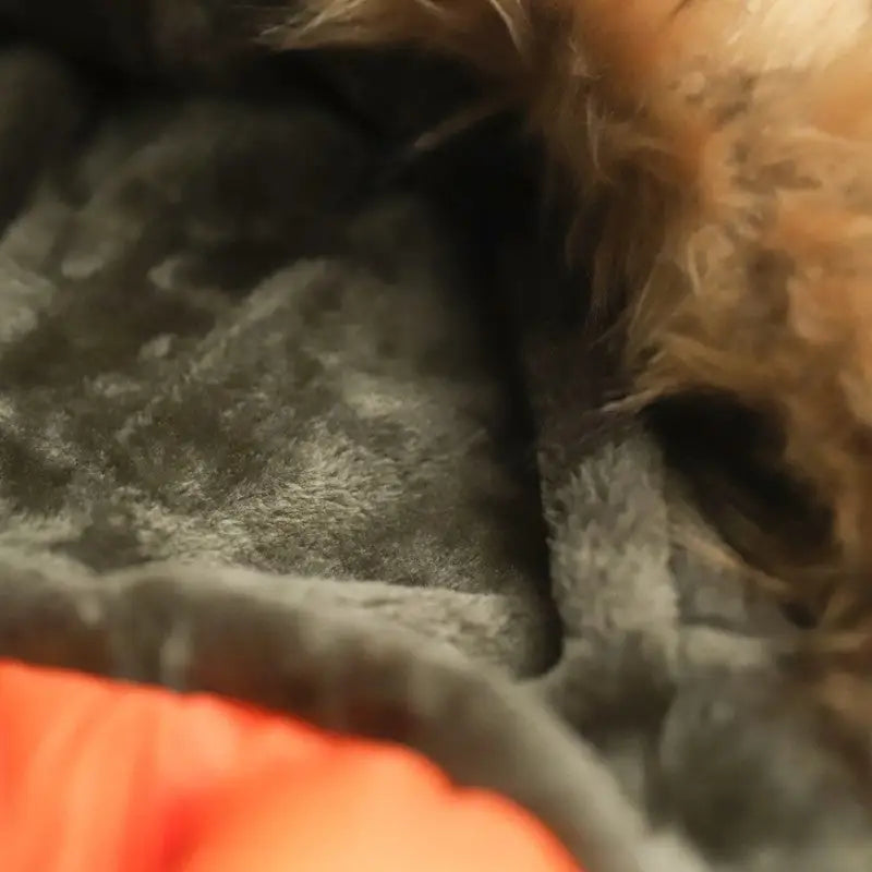 Parka résistante grand froid