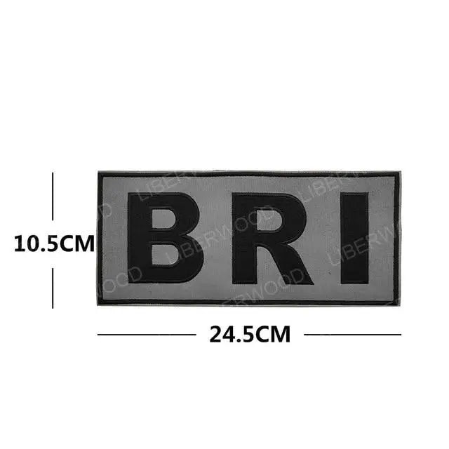 Patch militaire francais