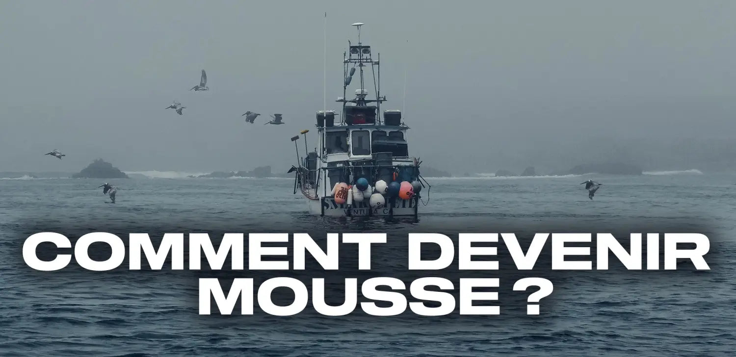 Comment devenir mousse ?