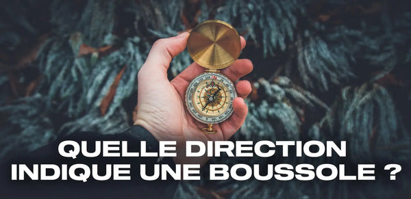 Quelle direction indique une boussole ? Le Guide Complet - Surplus