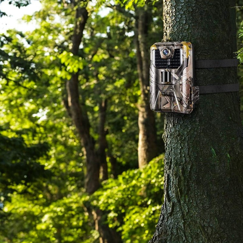 Caméra de chasse de surveillance