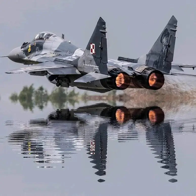 quel-est-prix-mig-29