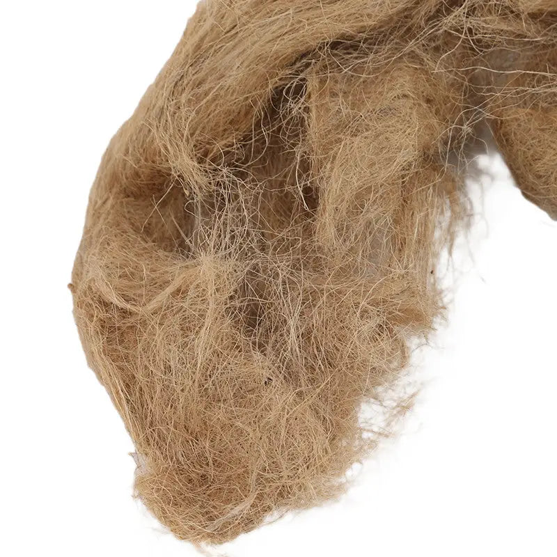 Allume feu bois survie