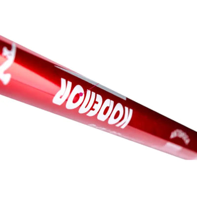Baton de marche nordique a ressort