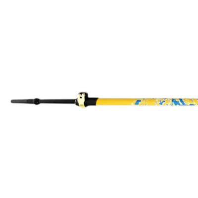 Baton de marche nordique aluminium