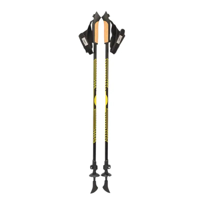 Baton de marche nordique outdoor