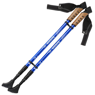 Baton de marche nordique pliant