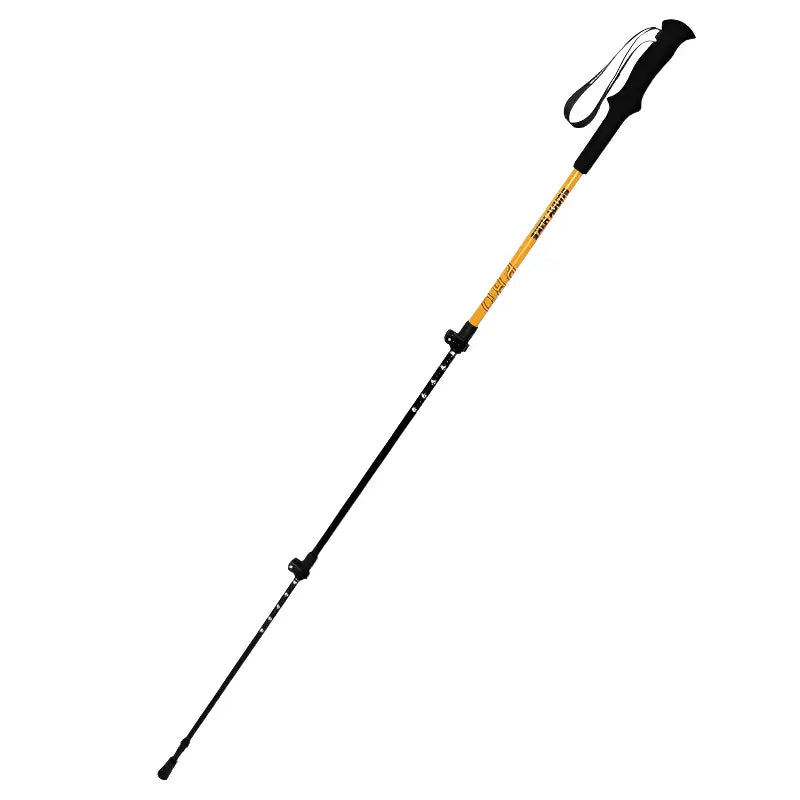 Baton de trail aluminium