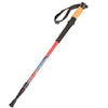 Baton de trail compact