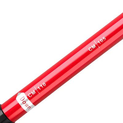 Baton de trail mixte