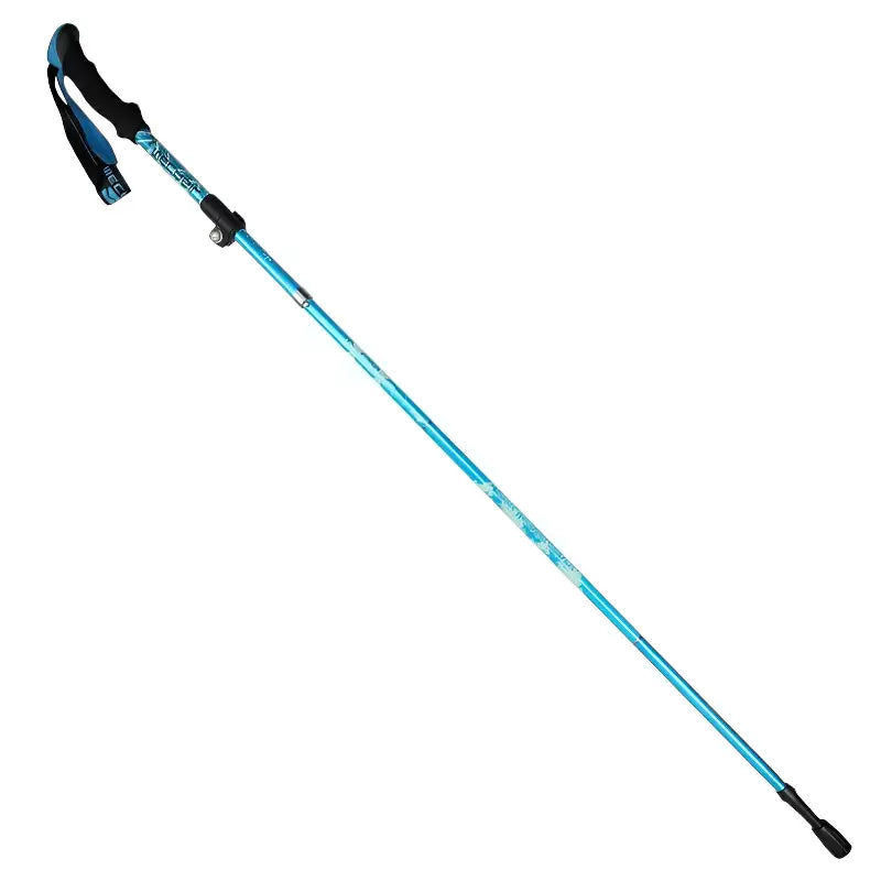 Baton de trail pas cher