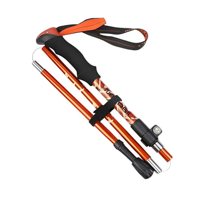 Baton de trail pas cher