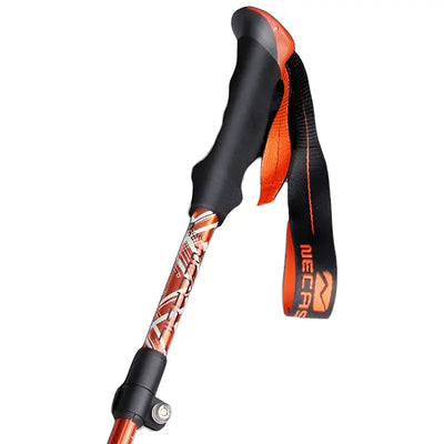 Baton de trail pas cher