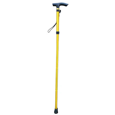 Baton de marche canne randonnée