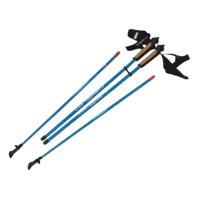 Baton de marche nordique carbone