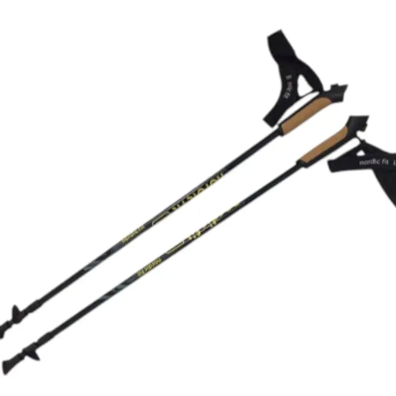 Baton de marche nordique carbone