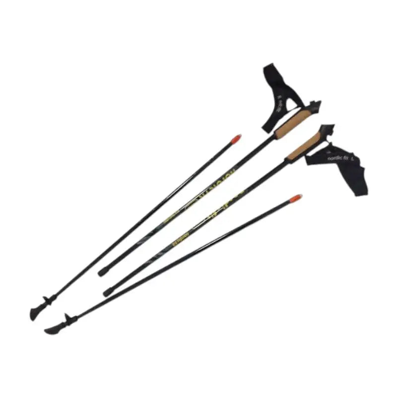 Baton de marche nordique carbone