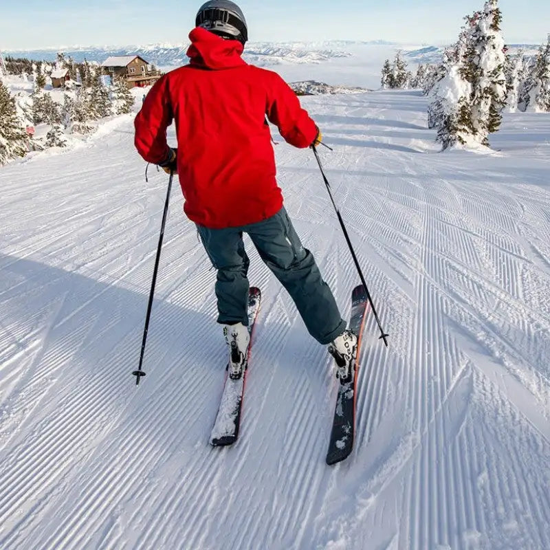 Bâton de marche nordique ski