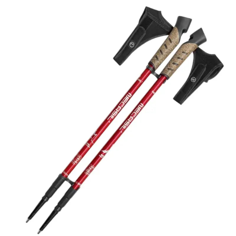 Baton de marche nordique sport