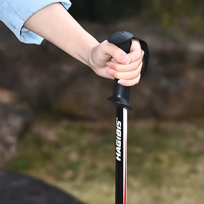 Baton de randonnée neige