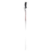 Baton de randonnée neige