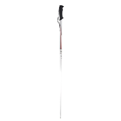 Baton de randonnée neige