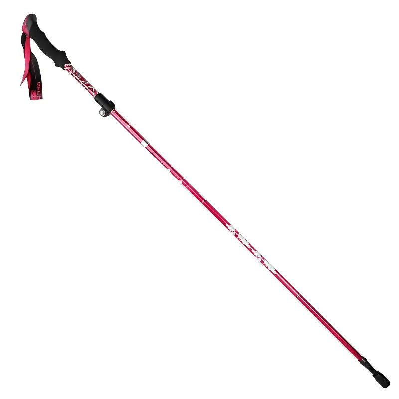 Baton de trail pas cher