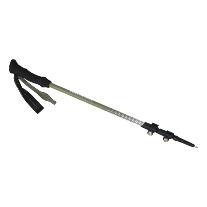 Batons de trail carbone
