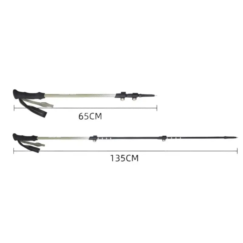 Batons de trail carbone