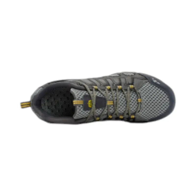 Chaussure de marche montagne