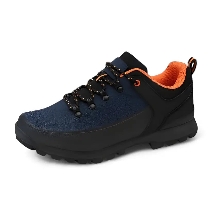 Chaussure de randonnée bleu